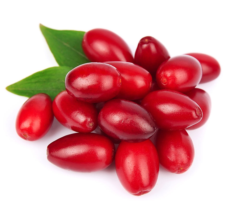 نهال زغال اخته 